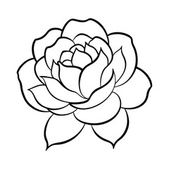 Black and white rose illustration with detailed petals and elegant outlines ready for coloring book page