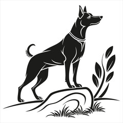 dog on white background