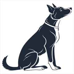 dog on white background