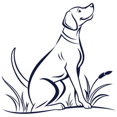 dog on white background