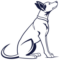 dog on white background