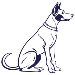 dog on white background