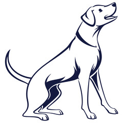 dog on white background