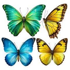 Obraz premium set of beautiful blue green, yellow butterfly's isolated on white background