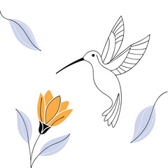 Hummingbird Illustration: Elegant and Colorful Avian Art for Nature and Wildlife Projects