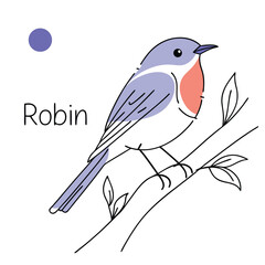 Robin Bird Illustration Iconic Red-Breasted Songbird for Seasonal and Nature Art