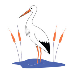 Stork Bird Illustration Graceful Wading Bird for Nature and Wildlife Art