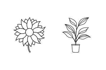 Sunflower And Potted Plant Outlines Simple Botanical Line Art Illustrations