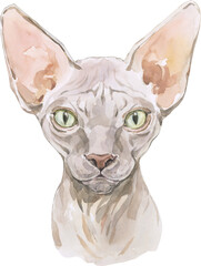 Watercolor Cat Portrait. Hand drawn Pet Breed. Design element isolated
