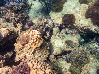 Myanmar sea under the sea