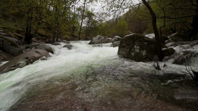 mountain river surrounded by mossy rocks and trees in a lush forest during a misty, overcast day.
