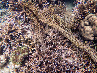 Myanmar sea under the sea
