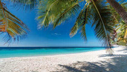 Fototapeta premium Calm beach with smooth white sand, clear turquoise water, and minimalist palm trees swaying gently in the breeze. 