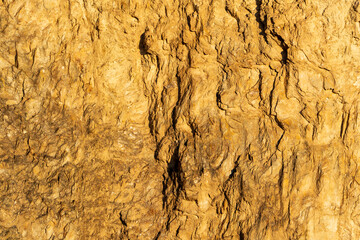 Amazed Face in the Soil: Abstract Earth Expression