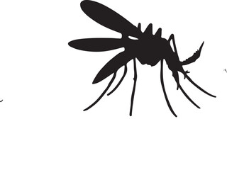 Mosquito (Culicidae) insect silhouette design, labeled linocut vector illustration.