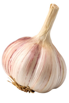 garlic isolated on white background