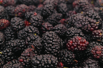 Close up of fresh mulberry