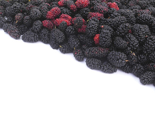 Ripe mulberry berries isolated on white background. Copy space for text.	