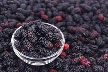 Bowl with mulberry on ripe mulberry berries background. Room for text.
