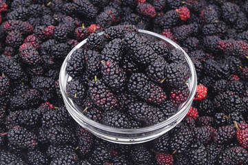 Top view of mulberry berries in bowl on mulberry background.