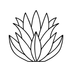 agave plant icon, agave plant line art - simple line art of agave plant, perfect for agave plant logos and icons