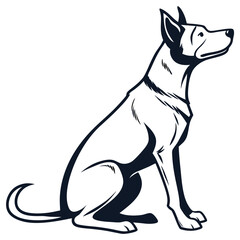dog on white background