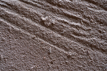 Sawing wood with a sawmill in a factory