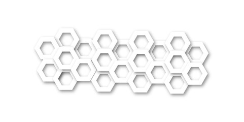 Gray and wite hexagon geometric pattern poster vector.