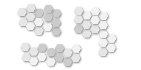 Gray and wite hexagon geometric pattern poster vector.
