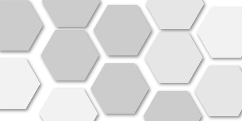 Gray and wite hexagon geometric pattern poster vector.