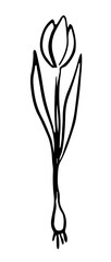 Flower minimalist hand drawing doodle element