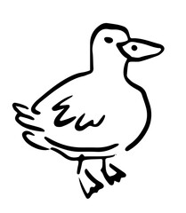 Cute duck hand drawing illustration