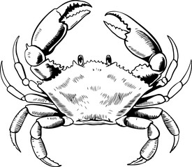 Vintage  engraving illustration of crab. Seafood emblem with crab. Vector crab illustration