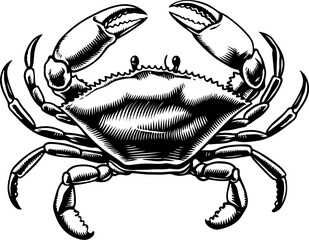 Vintage  engraving illustration of crab. Seafood emblem with crab. Vector crab illustration