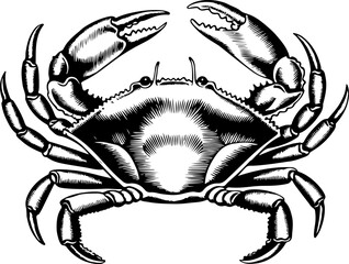 Vintage  engraving illustration of crab. Seafood emblem with crab. Vector crab illustration