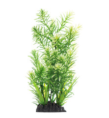Green plastic aquarium plant growing on rock decoration on white background