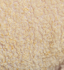 Close up macro photography of sheep wool showing soft texture detail