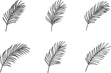 Fototapeta premium Seamless pattern of hand drawn tropical palm leaves in black and white