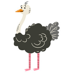 Cute vector illustration in a simple childish style. Cute ostrich on white background. Safari animals . Vector illustration