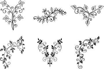 Fototapeta premium Elegant floral scrollwork collection ornamental black and white vector design elements