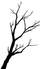 Minimalist Black Tree Branch Illustration – Winter Nature Element