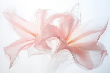 Delicate, translucent, blush-pink fabric, flowing gracefully