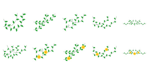 Set of vines leaves and curls for border or corner design element, cute thanksgiving, spring, autumn, halloween, environment. Vector isolated garden plant illustration.
