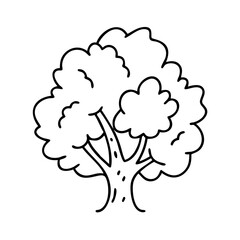 oak tree icon, oak tree line art - simple line art of oak tree, perfect for oak tree logos and icons