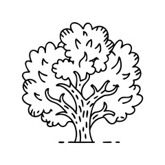 oak tree icon, oak tree line art - simple line art of oak tree, perfect for oak tree logos and icons