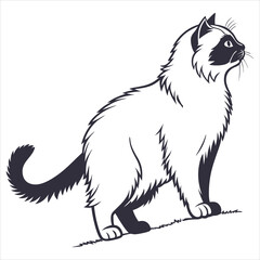 silhouette Persian cat on white background