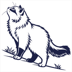 silhouette Persian cat on white background