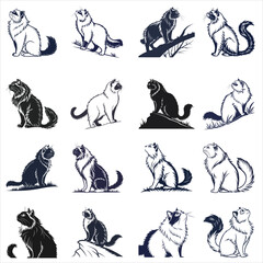 silhouette Persian cat on white background