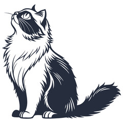 silhouette Persian cat on white background