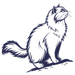 silhouette Persian cat on white background